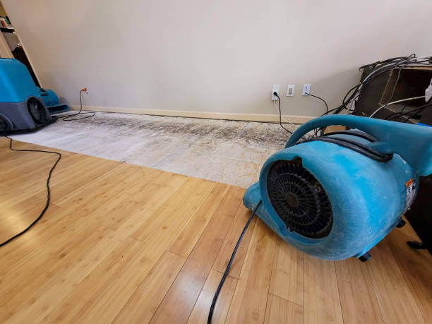 Professional Structural Drying technician working in Harrisburg, PA